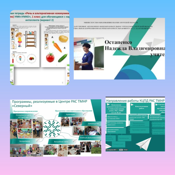 В межрегиональном семинаре по вопросам поддержки лиц с ОВЗ поучаствовали специалисты ХК ИРО 