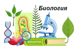 Вебинары по проблемным темам школьной биологии