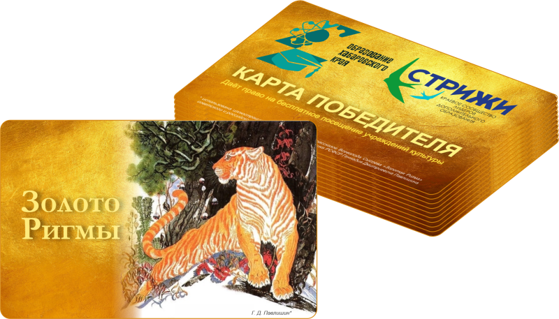 Краевой конкурс «Золото Ригмы»: названы лучшие педагоги дополнительного образования