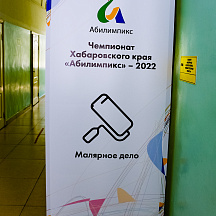 Чемпионат Хабаровского края Абилимпикс 2022 (17.05.2022)